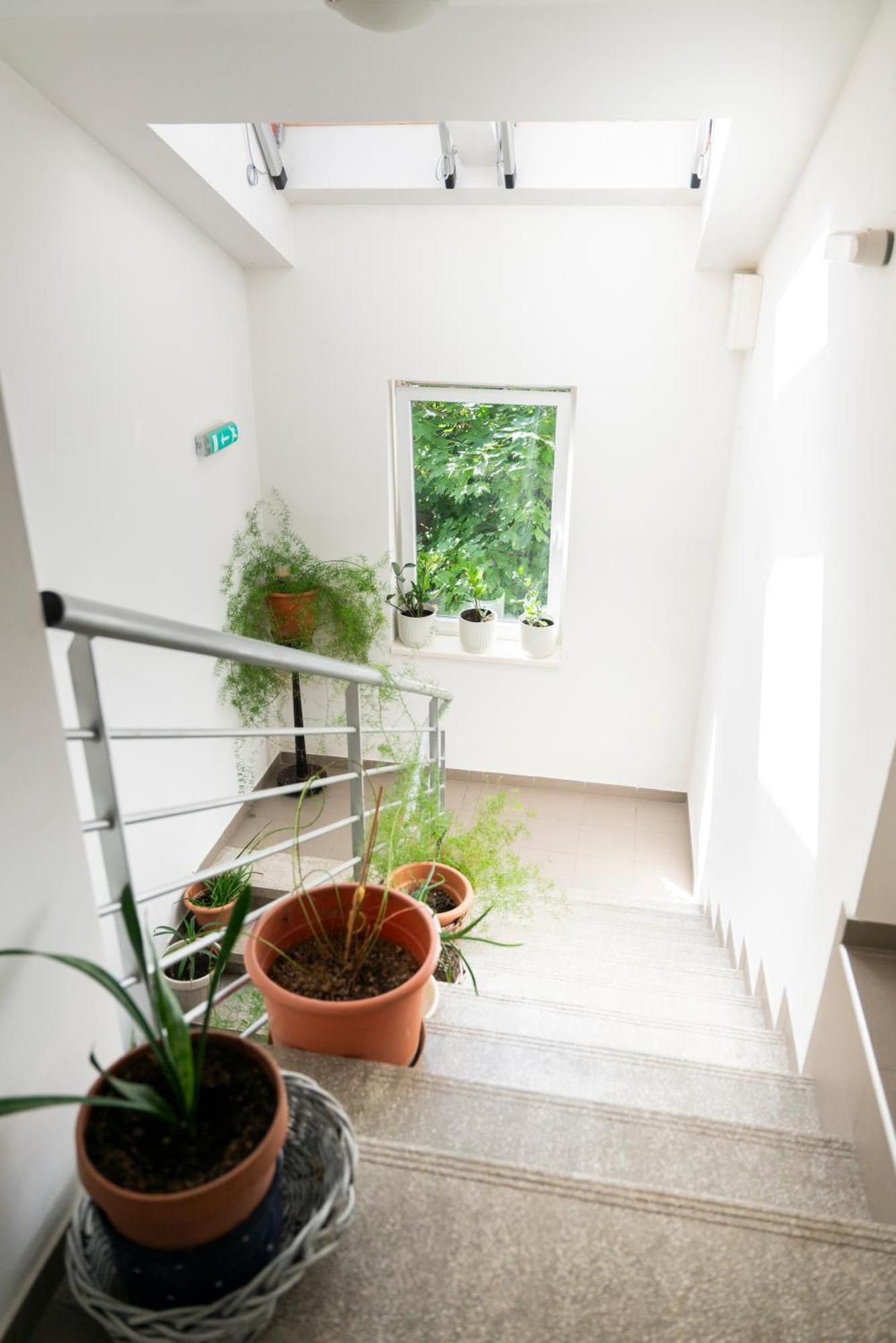 Bagoly Fogado Hotel Gyomro Ngoại thất bức ảnh
